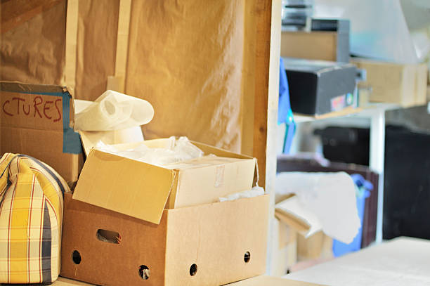 Best Hoarding Cleanup  in Adrian, MN